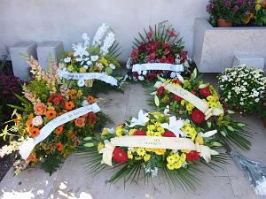2012 11 01 NOVEMBRE MAZARGUES  (14) PAR GUY MONTANER